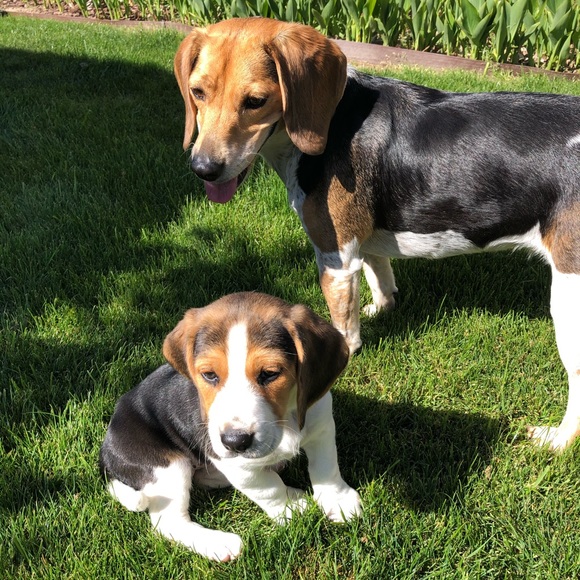 Meet your Posher, Christine - Picture 13 of 16